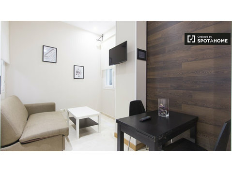 Wonderful studio apartment for rent in Centro, Madrid - Căn hộ