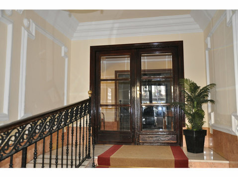 Exclusive property in the Madrid street Goya 44 - Apartmány