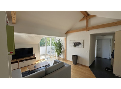 APPARTEMENT 2½ PIÈCES À BERN - ALTENBERG, MEUBLÉ, DURÉE… - Appartements équipés