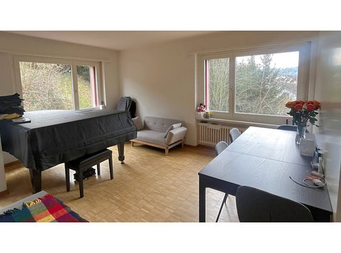 APPARTEMENT 4½ PIÈCES À MALTERS (LU), MEUBLÉ, DURÉE… - Appartements équipés