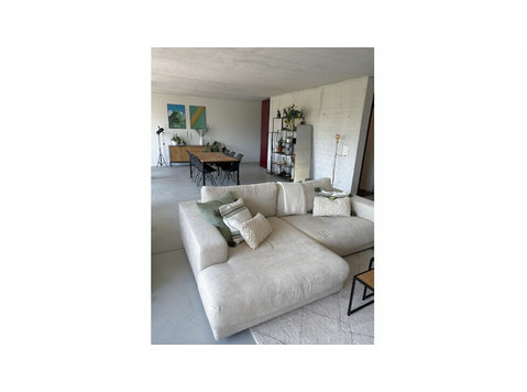 1½ ROOM APARTMENT IN AARAU (AG), FURNISHED, TEMPORARY - Serviced apartments