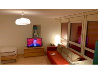 1½ ROOM APARTMENT IN KAISERAUGST (AG), FURNISHED - Ενοικιαζόμενα δωμάτια με παροχή υπηρεσιών
