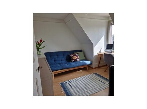 2 ROOM ATTIC APARTMENT IN AARAU (AG), FURNISHED, TEMPORARY - Ενοικιαζόμενα δωμάτια με παροχή υπηρεσιών