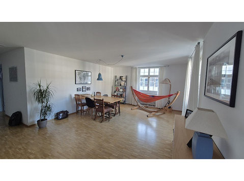 3 ROOM APARTMENT IN AARAU (AG), FURNISHED, TEMPORARY - Serviced apartments