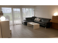 3½ ROOM APARTMENT IN RUDOLFSTETTEN (AG), FURNISHED,… - Ενοικιαζόμενα δωμάτια με παροχή υπηρεσιών