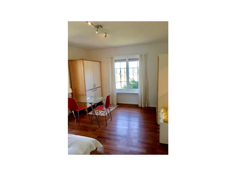 1 ROOM APARTMENT IN LIESTAL (BL), FURNISHED - Serviced apartments