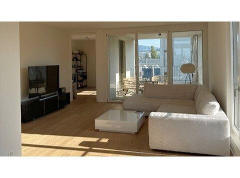 APPARTEMENT 4½ PIÈCES À REINACH (BL), MEUBLÉ - Appartements équipés