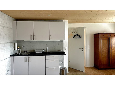 FOR INDIVIDUAL IN REINACH (AG), FURNISHED, TEMPORARY - Serviced apartments