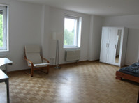 Flatshare near Roche and Tinguely museum - WGs/Zimmer