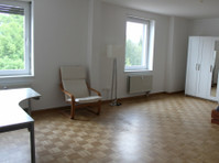 Flatshare near Roche and Tinguely museum - Комнаты