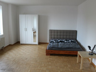 Flatshare near Roche and Tinguely museum - Stanze