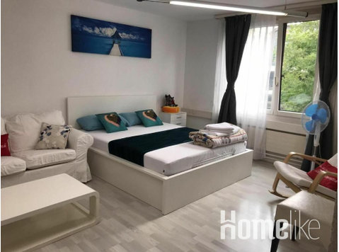 A Large and Bright apartment in the heart of Basel - อพาร์ตเม้นท์