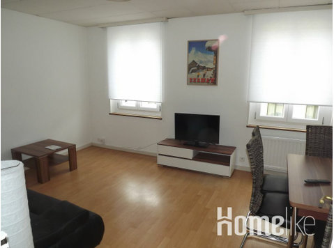 Large apartment near the Rhine and Basel city center - اپارٹمنٹ