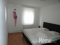 Large apartment near the Rhine and Basel city center - آپارتمان ها