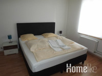 Large apartment near the Rhine and Basel city center - اپارٹمنٹ