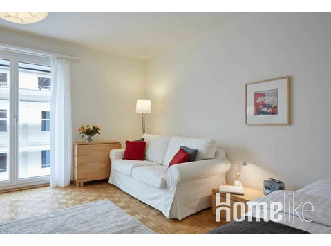 Light spacious apartment within 2 minutes walk of Spalenberg - Apartemen