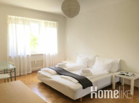Lovely two room apartment near Schützenmatt Park - Apartmani
