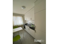 Luxury apartment in heart of Basel - Asunnot