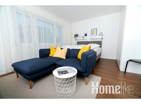 NEW 1.5 Room Apartment in Basel - Apartamente