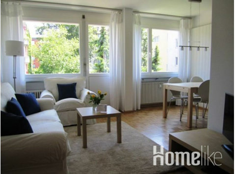Newly renovated light 2.5 room apartment in a great location - Apartmani