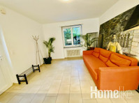 Spacious and Beautiful Apartment in Basel City Center - דירות