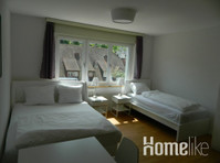 Top apartment in Basel near the city center - Apartments