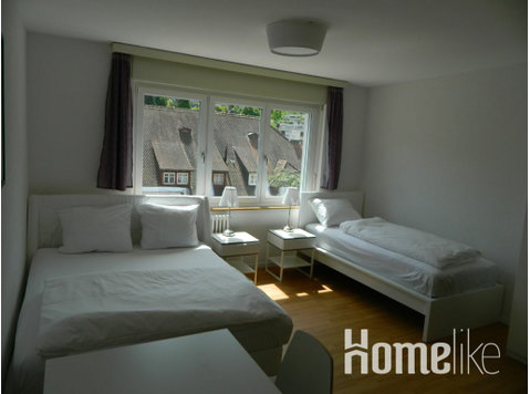 Top apartment in Basel near the city center - Asunnot