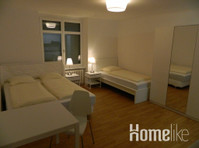 Top apartment in Basel near the city center - דירות