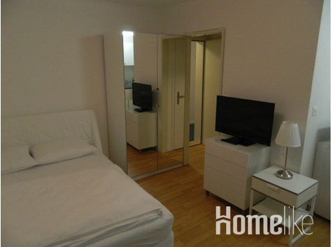 Top apartment in Basel near the city center - 公寓