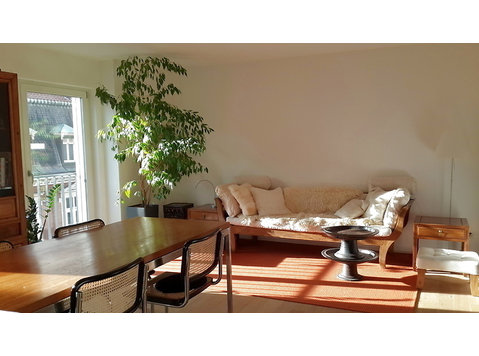 APPARTEMENT 2 PIÈCES À BASEL - ALTSTADT/GROSSBASEL, MEUBLÉ,… - Appartements équipés