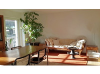 2 ROOM APARTMENT IN BASEL - ALTSTADT/GROSSBASEL, FURNISHED,… - Ενοικιαζόμενα δωμάτια με παροχή υπηρεσιών