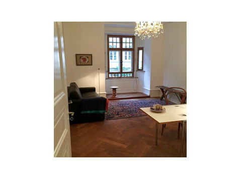 2½ ROOM APARTMENT IN BASEL - CLARA, FURNISHED - Ενοικιαζόμενα δωμάτια με παροχή υπηρεσιών