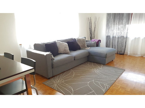APPARTEMENT 2 PIÈCES À BASEL - SPALEN, MEUBLÉ, DURÉE… - Appartements équipés