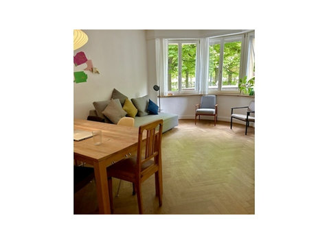 3 ROOM APARTMENT IN BASEL - BACHLETTEN/GOTTHELF, FURNISHED,… - Ενοικιαζόμενα δωμάτια με παροχή υπηρεσιών
