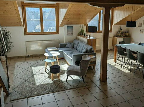 Big apartment with rooftop terrace in the heart of Berne - 	
Lägenheter