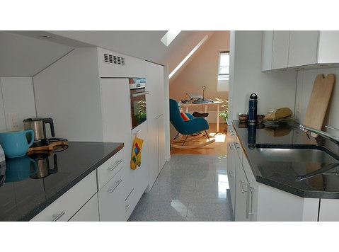 1½ ROOM APARTMENT IN BERN - BREITENRAIN, FURNISHED,… - Serviced apartments