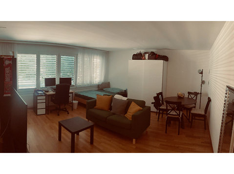 1 ROOM APARTMENT IN BERN - MATTENHOF, FURNISHED, TEMPORARY - Serviced apartments