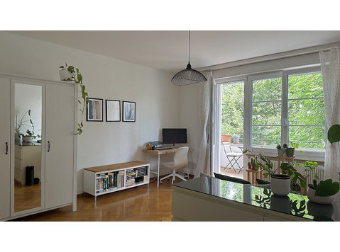 APPARTEMENT 1½ PIÈCE À BERN - OBSTBERG/SCHOSSHALDE, MEUBLÉ,… - Appartements équipés