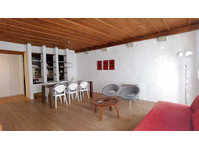 2½ ROOM APARTMENT IN BERN - ALTSTADT, FURNISHED, TEMPORARY - Ενοικιαζόμενα δωμάτια με παροχή υπηρεσιών
