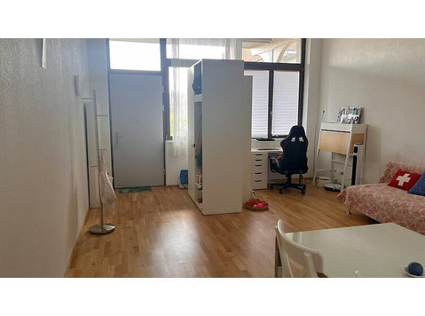 2½ ROOM LOFT IN LIEBEFELD (BE), FURNISHED - Ενοικιαζόμενα δωμάτια με παροχή υπηρεσιών
