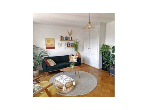 3½ ROOM APARTMENT IN BERN - BREITENRAIN, FURNISHED,… - Apartamentos con servicio