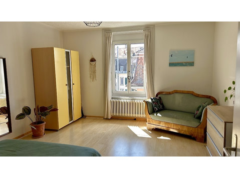 3½ ROOM APARTMENT IN BERN - BREITENRAIN, FURNISHED,… - Serviced apartments