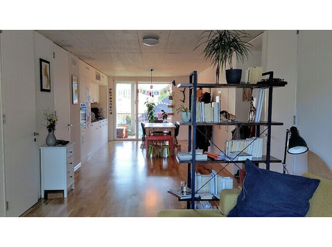 3½ ROOM APARTMENT IN BERN - FELSENAU/TIEFENAU, FURNISHED,… - Квартиры с уборкой