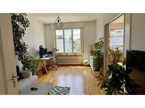 APPARTEMENT 3 PIÈCES À BERN - MONBIJOU, MEUBLÉ, DURÉE… - Appartements équipés