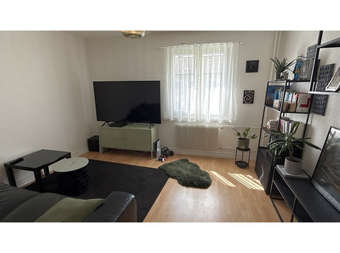 3 ROOM APARTMENT IN BIEL/BIENNE (BE), FURNISHED, TEMPORARY - Хотелски апартаменти