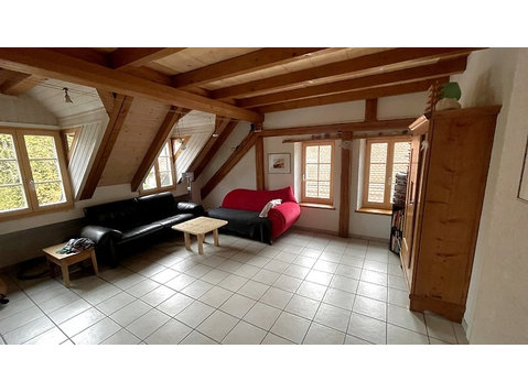 3½ ZI-WOHNUNG IN BIEL/BIENNE (BE), MÖBLIERT, TEMPORÄR - Serviced apartments