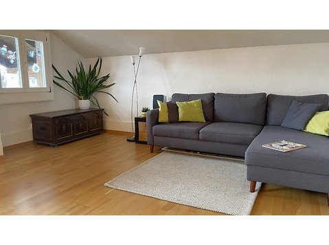 3½ ROOM APARTMENT IN HÜNIBACH (BE), FURNISHED, TEMPORARY - Serviced apartments
