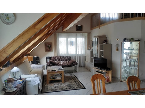 4½ ROOM ATTIC APARTMENT IN THUN (BE), FURNISHED, TEMPORARY - Ενοικιαζόμενα δωμάτια με παροχή υπηρεσιών