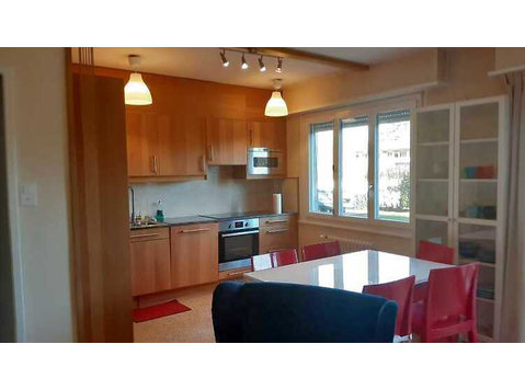 2½ ROOM APARTMENT IN VERSOIX (GE), FURNISHED - Serviced apartments