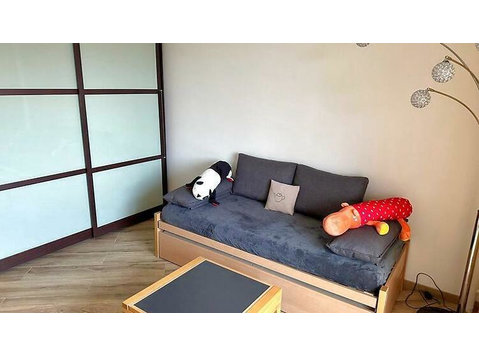 3 ROOM APARTMENT IN GENÈVE, FURNISHED - Apartamente regim hotelier